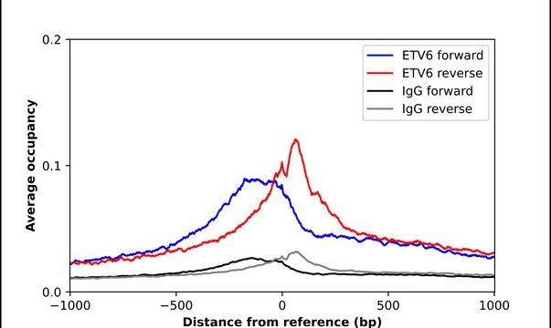 Anti-ETV6 antibody produced in rabbit Prestige Antibodies&#174; Powered by Atlas Antibodies, affinity isolated antibody, buffered aqueous glycerol solution