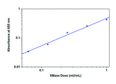 Colorimetric Sphingomyelinase Assay Kit sufficient for 200&#160;colorimetric&nbsp;tests