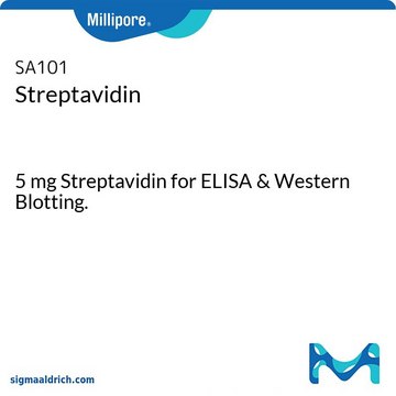 Streptavidin 5 mg Streptavidin for ELISA &amp; Western Blotting.