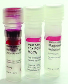REDTaq&#174; Genomic DNA Polymerase without MgCl2