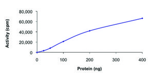 TAK1-TAB1 (1-303), (437-end), active, GST tagged human PRECISIO&#174; Kinase, recombinant, expressed in baculovirus infected Sf9 cells, &#8805;70% (SDS-PAGE), buffered aqueous glycerol solution