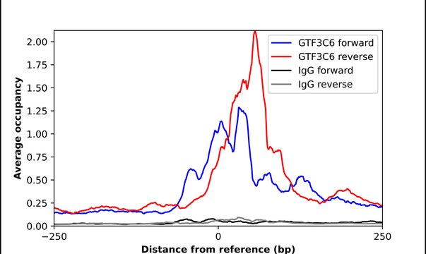 Anti-GTF3C6 antibody produced in rabbit Prestige Antibodies&#174; Powered by Atlas Antibodies, affinity isolated antibody, buffered aqueous glycerol solution