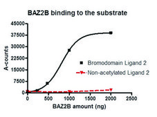 BAZ2B (2054-2168) human recombinant, expressed in E. coli, &#8805;84% (SDS-PAGE)