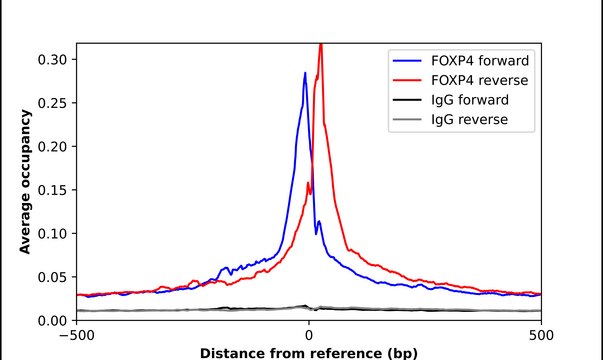 Anti-FOXP4 antibody produced in rabbit Prestige Antibodies&#174; Powered by Atlas Antibodies, affinity isolated antibody, buffered aqueous glycerol solution