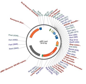 PSF-LACI - LACI PROMOTER BACTERIAL VECTOR plasmid vector for molecular cloning