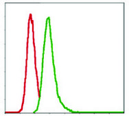 Monoclonal Anti-G6PD antibody produced in mouse clone 5E12, ascites fluid