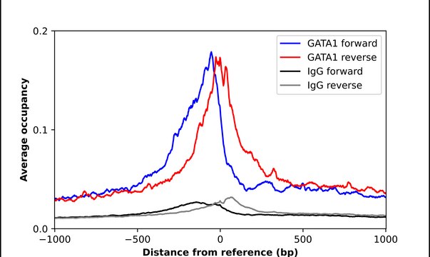 Anti-GATA1 antibody produced in rabbit Prestige Antibodies&#174; Powered by Atlas Antibodies, affinity isolated antibody, buffered aqueous glycerol solution