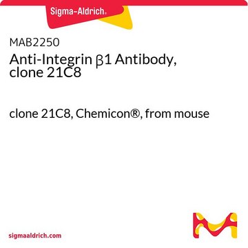 Anti-Integrin &#946;1 Antibody, clone 21C8 clone 21C8, Chemicon&#174;, from mouse