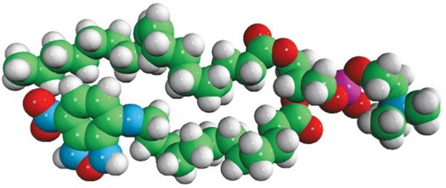 18:1-12:0 NBD PC Avanti Research&#8482; - A Croda Brand 810133P, powder