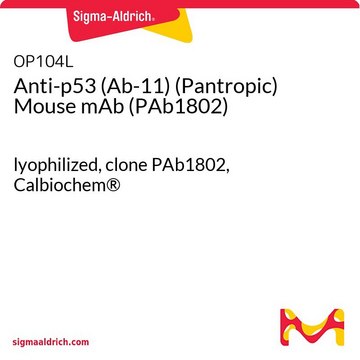 Anti-p53 (Ab-11) (Pantropic) Mouse mAb (PAb1802) lyophilized, clone PAb1802, Calbiochem&#174;