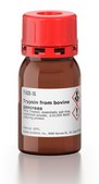 Trypsin from bovine pancreas TPCK Treated, essentially salt-free, lyophilized powder, &#8805;10,000&#160;BAEE units/mg protein