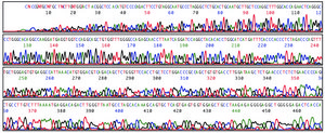 REDExtract-N-Amp&#8482; Blood PCR Kit sufficient for 100&#160;extractions, sufficient for 500&#160;amplifications
