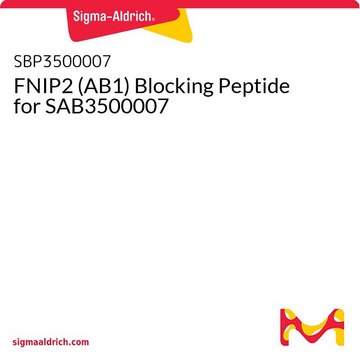 FNIP2 (AB1) Blocking Peptide for SAB3500007