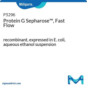 Protein&#160;G Sepharose&#8482;, Fast Flow recombinant, expressed in E. coli, aqueous ethanol suspension