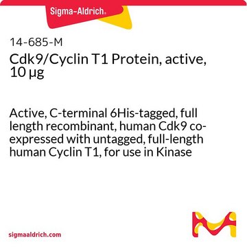 Cdk9/Cyclin T1 Protein, active, 10 &#181;g Active, C-terminal 6His-tagged, full length recombinant, human Cdk9 co-expressed with untagged, full-length human Cyclin T1, for use in Kinase Assays.