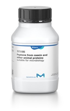 Peptone from casein and other animal proteins suitable for microbiology