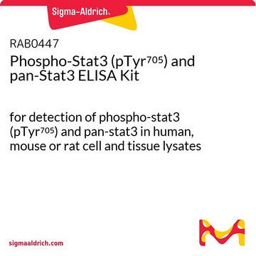 Phospho-Stat3 (pTyr705) and pan-Stat3 ELISA Kit for detection of phospho-stat3 (pTyr705) and pan-stat3 in human, mouse or rat cell and tissue lysates