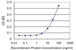 Monoclonal Anti-TSC2 antibody produced in mouse clone 1C1, purified immunoglobulin, buffered aqueous solution