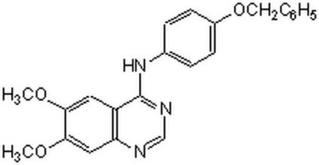 EGFR/ErbB-2 Inhibitor The EGFR/ErbB-2 Inhibitor, also referenced under CAS 179248-61-4, controls the biological activity of EGFR/ErbB-2. This small molecule/inhibitor is primarily used for Phosphorylation &amp; Dephosphorylation applications.
