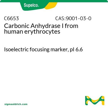 Carbonic Anhydrase I from human erythrocytes Isoelectric focusing marker, pI&#160;6.6