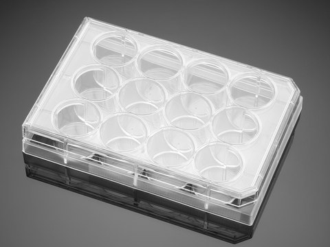 Corning&#174; BioCoat&#8482; Poly-D-Lysine 12 Well Clear Flat Bottom TC-Treated Multiwell Plate, with Lid well size 12&#160;wells, flat bottom clear wells, lid