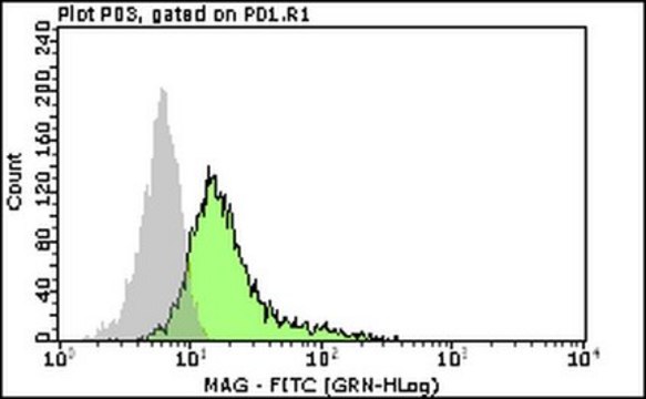 Milli-Mark&#174; Anti-Myelin Associated Glycoprotein-FITC Antibody, clone 513 clone 513, Milli-Mark&#174;, from mouse