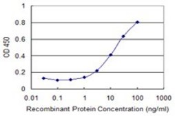 Monoclonal Anti-COL25A1 antibody produced in mouse clone 1D2, purified immunoglobulin, buffered aqueous solution