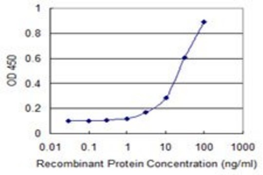 Monoclonal Anti-CYR61, (C-terminal) antibody produced in mouse clone 3C11, purified immunoglobulin, buffered aqueous solution