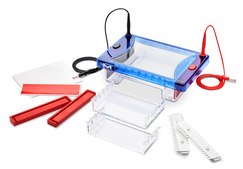 DirectLoad&#8482; Midi Horizontal Electrophoresis System, with 15x7, 10 &amp;15cm gel trays for agarose gel DNA and RNA horizontal electrophoresis