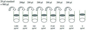 Human Cathepsin S ELISA Kit for serum, plasma, cell culture supernatant and urine