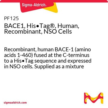 BACE1, His&#8226;Tag&#174;, Human, Recombinant, NSO Cells Recombinant, human BACE-1 (amino acids 1-460) fused at the C-terminus to a His&#8226;Tag sequence and expressed in NSO cells. Supplied as a mixture of ~68-70 kDa proenzyme and ~65-67 kDa mature enzyme.
