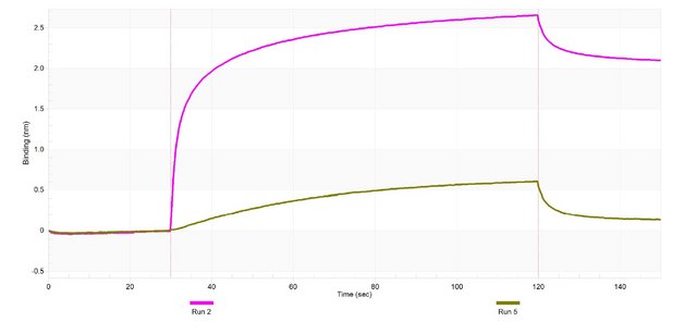 Anti-CYP11A1 Antibody, clone 2M5 ZooMAb&#174; Rabbit Monoclonal recombinant, expressed in HEK 293 cells