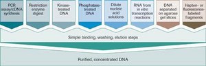High Pure PCR Product Purification Kit sufficient for 250&#160;purifications (11732676001), sufficient for 50&#160;purifications (11732668001), suitable for DNA purification