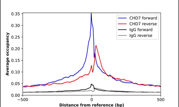 Anti-CHD7 antibody produced in rabbit Prestige Antibodies&#174; Powered by Atlas Antibodies, affinity isolated antibody