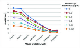 Anti-Mouse IgG antibody, Goat monoclonal recombinant, expressed in HEK 293 cells, clone RMG07, purified immunoglobulin