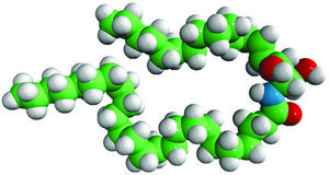 C24 Ceramide (d17:1/24:0) Avanti Research&#8482; - A Croda Brand 860649P, powder
