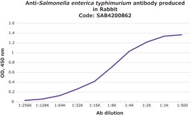 Anti-Salmonella enterica typhimurium antibody produced in rabbit IgG fraction of antiserum