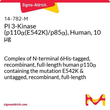 PI 3-Kinase (p110&#945;(E542K)/p85&#945;), Human, 10 &#181;g Complex of N-terminal 6His-tagged, recombinant, full-length human p110&#945; containing the mutation E542K &amp; untagged, recombinant, full-length human p85&#945;. For use in Kinase Assays.
