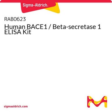 Human BACE1 / Beta-secretase 1 ELISA Kit