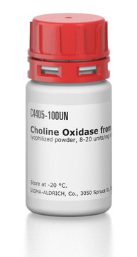 Choline Oxidase from Arthrobacter globiformis lyophilized powder, 8-20&#160;units/mg solid