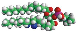 16:0-18:0 (9-10BR) PC 1-palmitoyl-2-(9,10-dibromo)stearoyl-sn-glycero-3-phosphocholine, chloroform