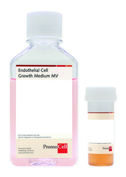 Endothelial Cell Growth Medium MV Ready-to-use kit including Basal Medium and SupplementMix, 500 ml