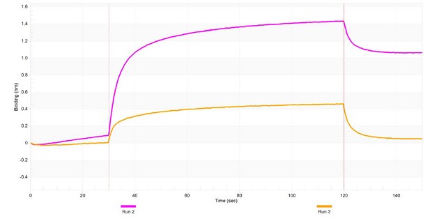 Anti-PIK3R3 Antibody, clone 1F2 ZooMAb&#174; Rabbit Monoclonal recombinant, expressed in HEK 293 cells