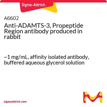 Anti-ADAMTS-3, Propeptide Region antibody produced in rabbit ~1&#160;mg/mL, affinity isolated antibody, buffered aqueous glycerol solution
