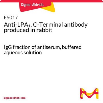 Anti-LPA1, C-Terminal antibody produced in rabbit IgG fraction of antiserum, buffered aqueous solution