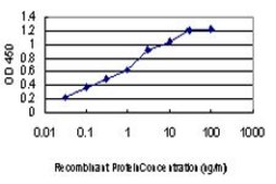 Monoclonal Anti-DYRK2 antibody produced in mouse clone 3G5, purified immunoglobulin, buffered aqueous solution
