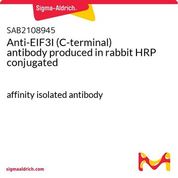 Anti-EIF3I (C-terminal) antibody produced in rabbit HRP conjugated affinity isolated antibody