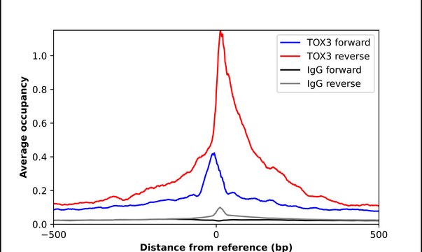 Anti-TOX3 antibody produced in rabbit Prestige Antibodies&#174; Powered by Atlas Antibodies, affinity isolated antibody, buffered aqueous glycerol solution