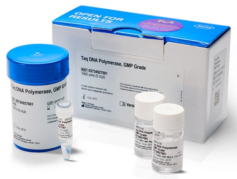 Taq DNA Polymerase, GMP Grade &#8805;13000&#160;units/mg protein, &gt;98% (SDS-PAGE), sufficient for &#8804;2,000&#160;reactions, Difficult Templates/Specialty Enzymes PCR