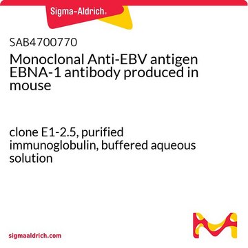 Monoclonal Anti-EBV antigen EBNA-1 antibody produced in mouse clone E1-2.5, purified immunoglobulin, buffered aqueous solution